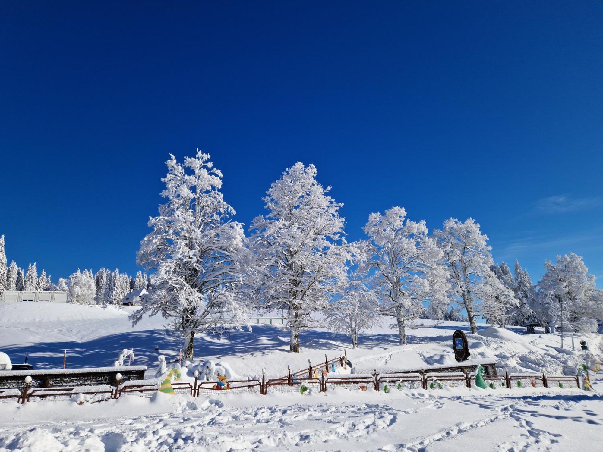 Vila Altes Zollhuesli Schluchsee Exteriér fotografie