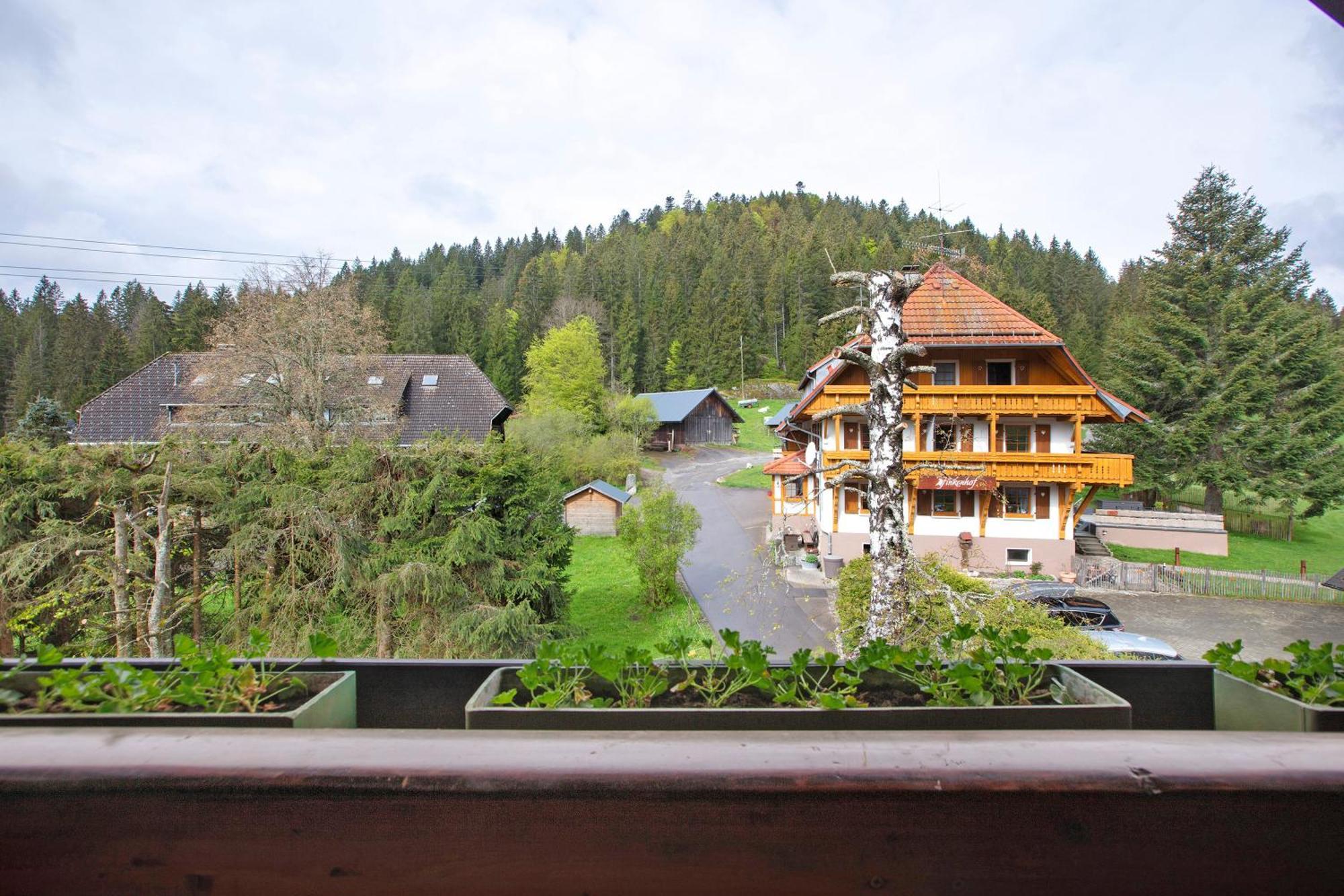 Vila Altes Zollhuesli Schluchsee Exteriér fotografie